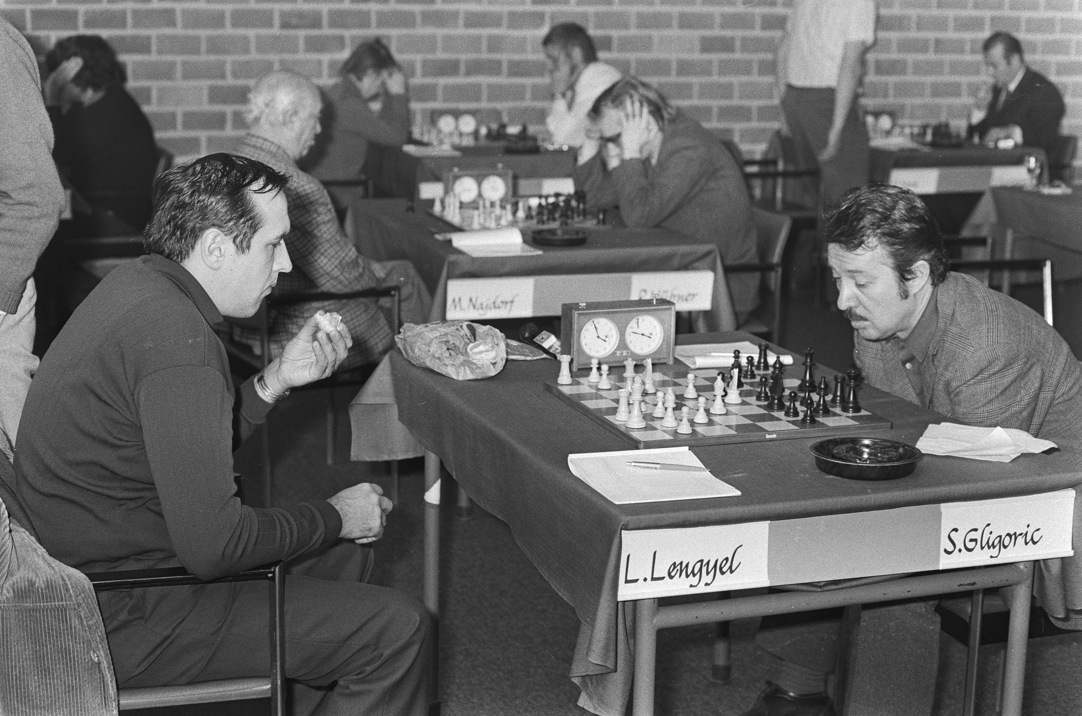 TataSteel Chess TataSteel Chess